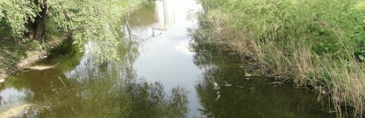 На Хмельниччині й Вінниччині взялися оздоровлювати Південний Буг