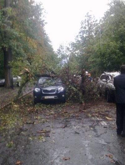 В Киеве дерево проломило автомобиль с ребенком, есть пострадавшие (фото)