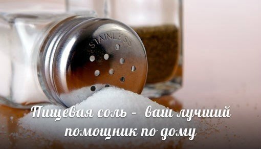 Пищевая соль – ваш незаменимый помощник по дому